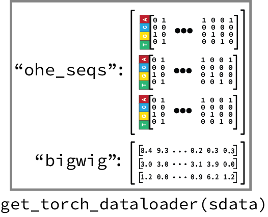 seqdata to dataloader